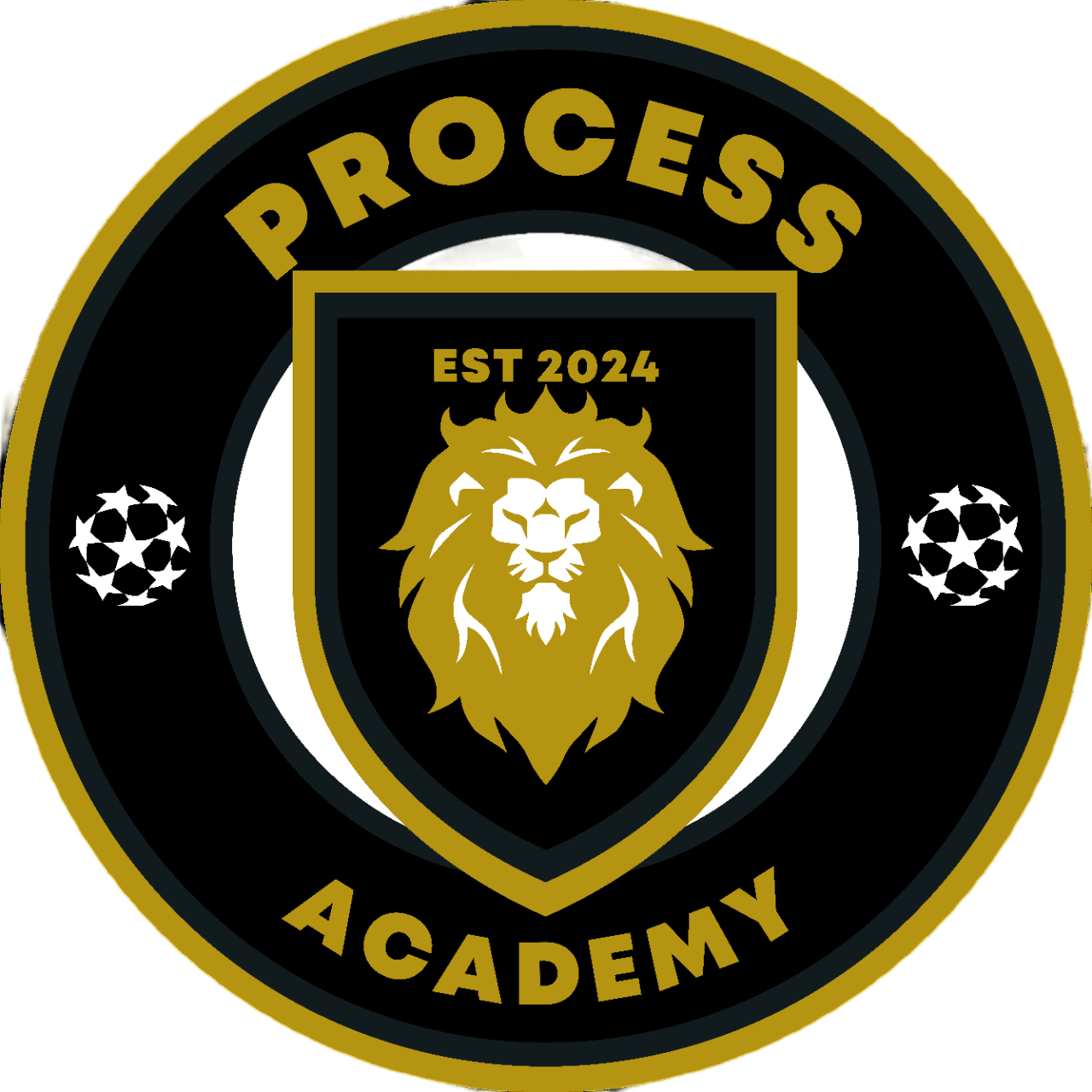 PROCESS ACADEMY